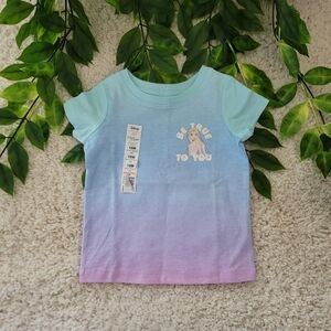 Baby Girl Frozen (Elsa) Shirt (12-18 Months)